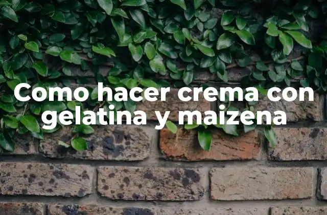Como Hacer Crema con Gelatina y Maizena