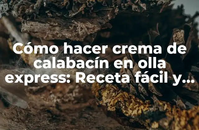 Cómo Hacer Crema de Calabacín en Olla Express: Receta Fácil y Deliciosa
