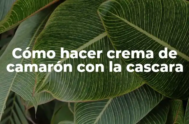 Cómo Hacer Crema de Camarón con la Cascara