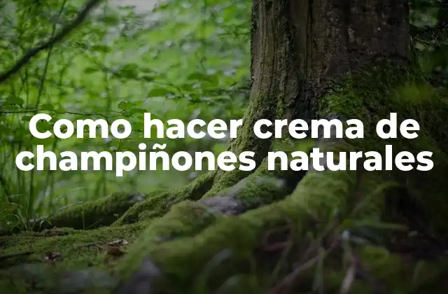 Como Hacer Crema de Champiñones Naturales