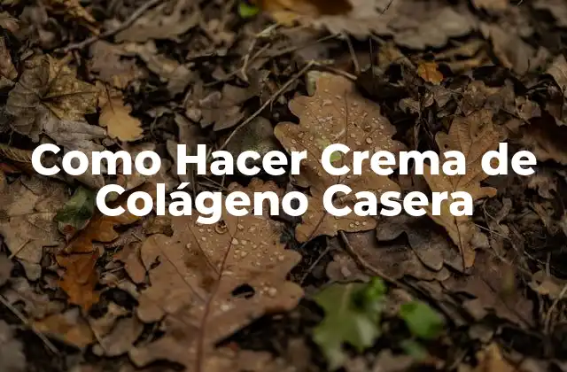 Como Hacer Crema de Colágeno Casera