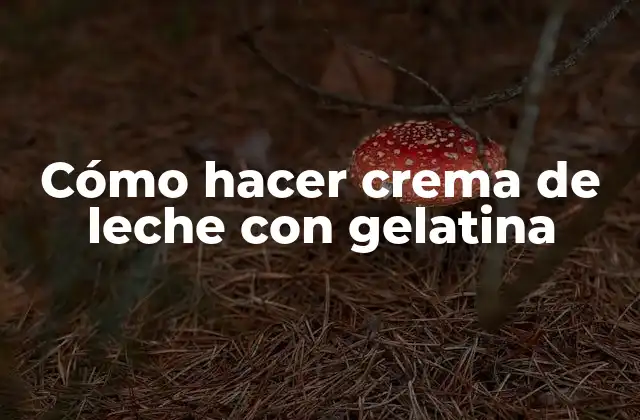 Cómo Hacer Crema de Leche con Gelatina