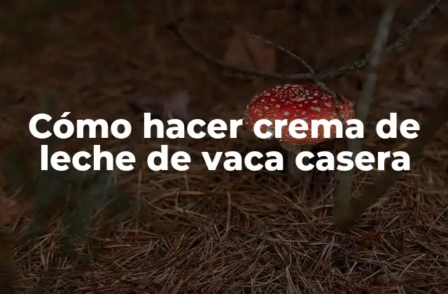 Cómo hacer crema de leche de vaca casera