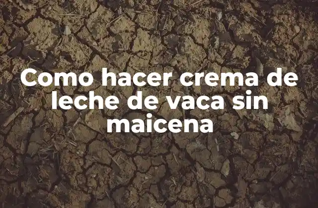 Como Hacer Crema de Leche de Vaca sin Maicena
