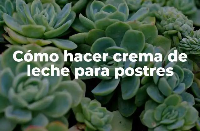 Cómo Hacer Crema de Leche para Postres