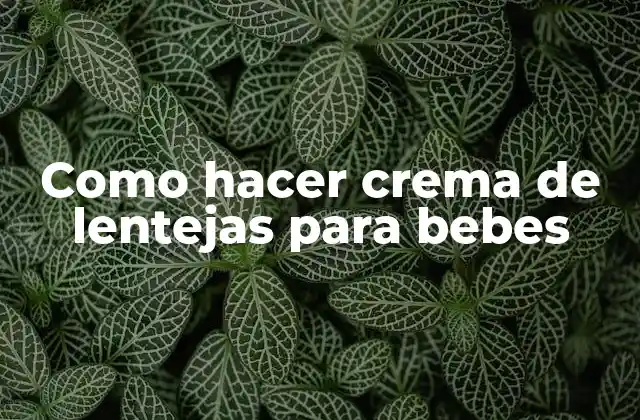 Como Hacer Crema de Lentejas para Bebes