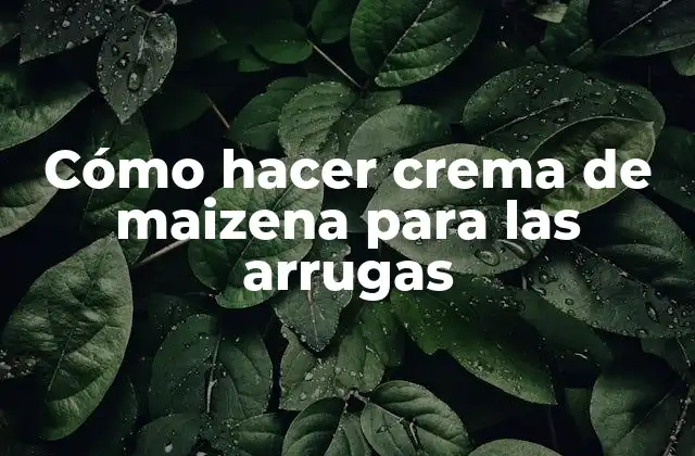 Cómo Hacer Crema de Maizena para las Arrugas