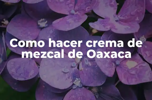 Como Hacer Crema de Mezcal de Oaxaca