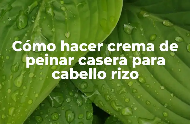 Cómo Hacer Crema de Peinar Casera para Cabello Rizo 2 Cómo hacer crema de peinar casera para cabello rizo