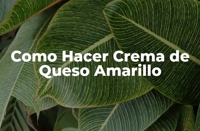 Como Hacer Crema de Queso Amarillo