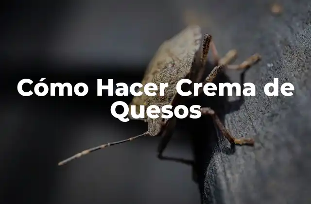 Cómo Hacer Crema de Quesos
