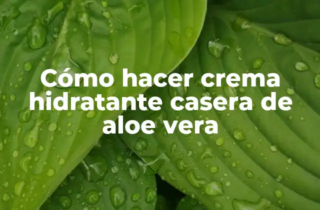 Cómo Hacer Crema Hidratante Casera de Aloe Vera