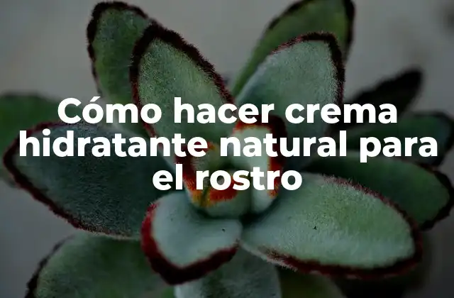 Cómo Hacer Crema Hidratante Natural para el Rostro