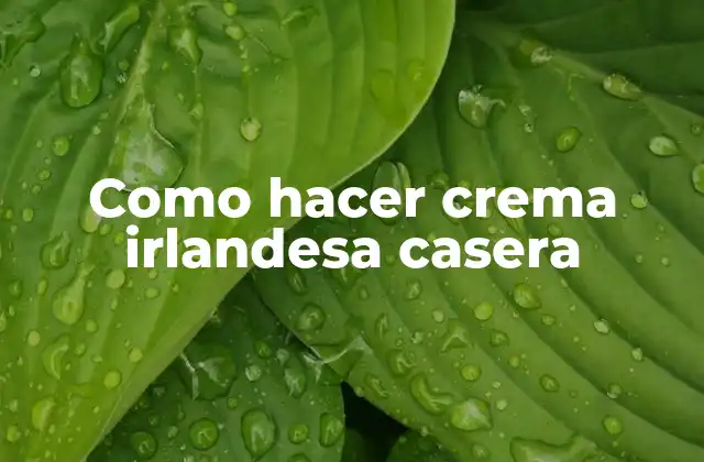 Como Hacer Crema Irlandesa Casera