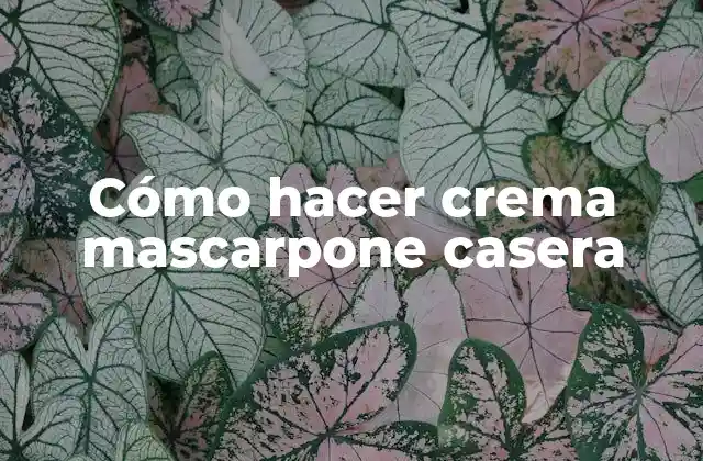 Cómo Hacer Crema Mascarpone Casera