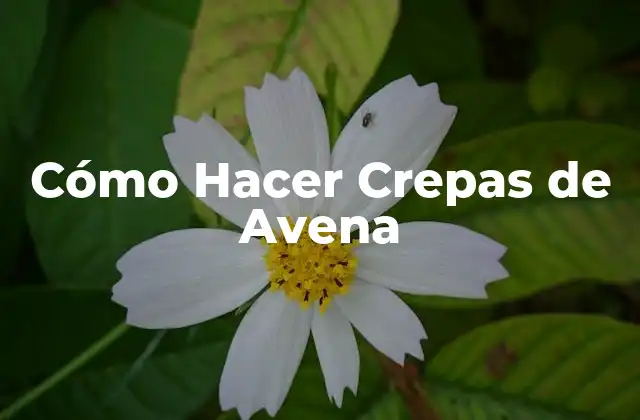 Cómo Hacer Crepas de Avena 2 Crepas de Avena: ¿Qué son y para qué sirven?