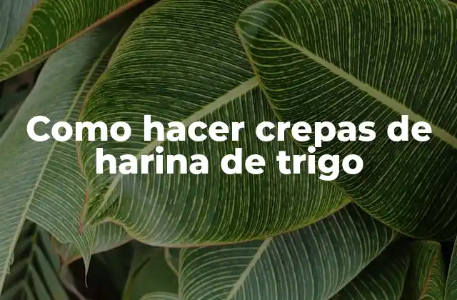 Como Hacer Crepas de Harina de Trigo