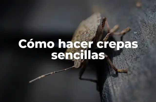 Cómo Hacer Crepas Sencillas