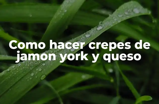 Como Hacer Crepes de Jamon York y Queso