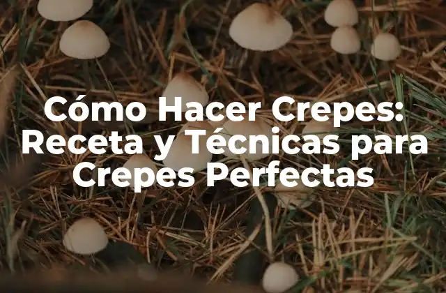 Cómo Hacer Crepes: Receta y Técnicas para Crepes Perfectas