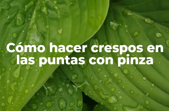 Cómo Hacer Crespos en las Puntas con Pinza