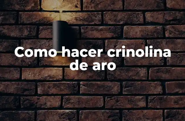 Como Hacer Crinolina de Aro