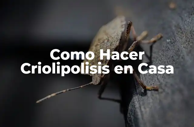 Como Hacer Criolipolisis en Casa