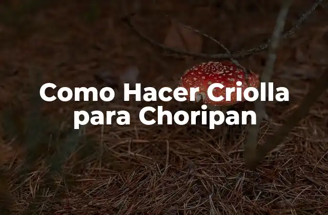 Como Hacer Criolla para Choripan