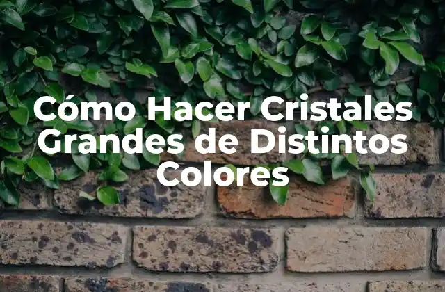Cómo Hacer Cristales Grandes de Distintos Colores