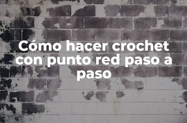 Cómo hacer crochet con punto red paso a paso