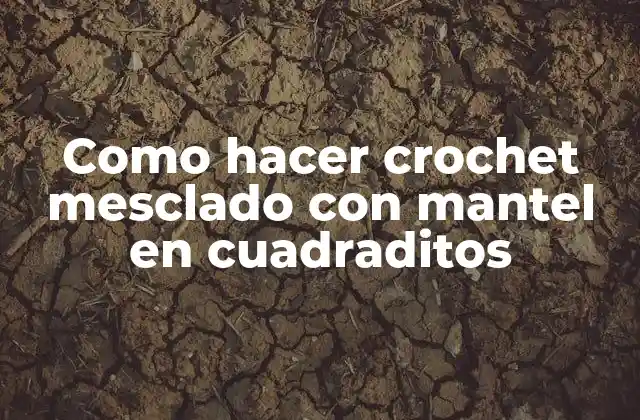Como Hacer Crochet Mesclado con Mantel en Cuadraditos