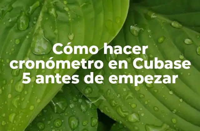 Cómo Hacer Cronómetro en Cubase 5 Antes de Empezar