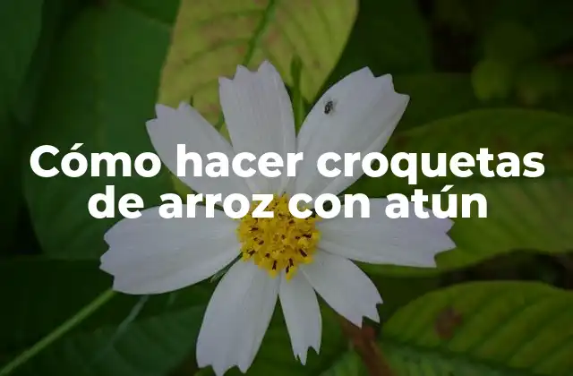 Cómo Hacer Croquetas de Arroz con Atún