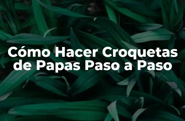 ¿Qué Son las Croquetas de Papas?