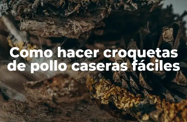 Como Hacer Croquetas de Pollo Caseras Fáciles