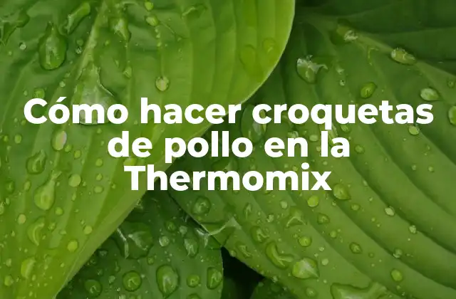 Cómo Hacer Croquetas de Pollo en la Thermomix
