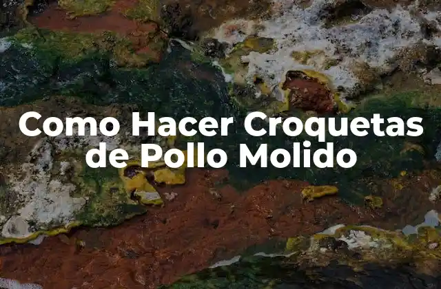 Como Hacer Croquetas de Pollo Molido