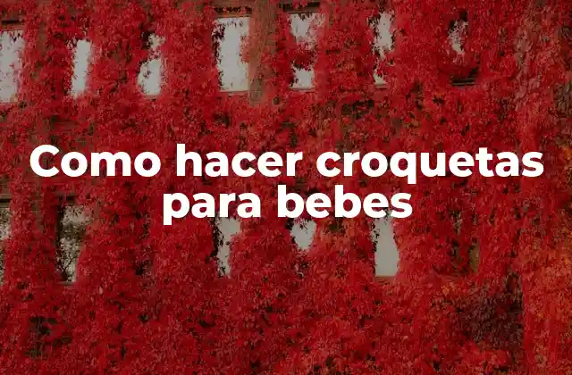 Como Hacer Croquetas para Bebes