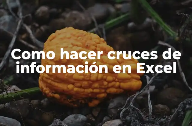 Como Hacer Cruces de Información en Excel
