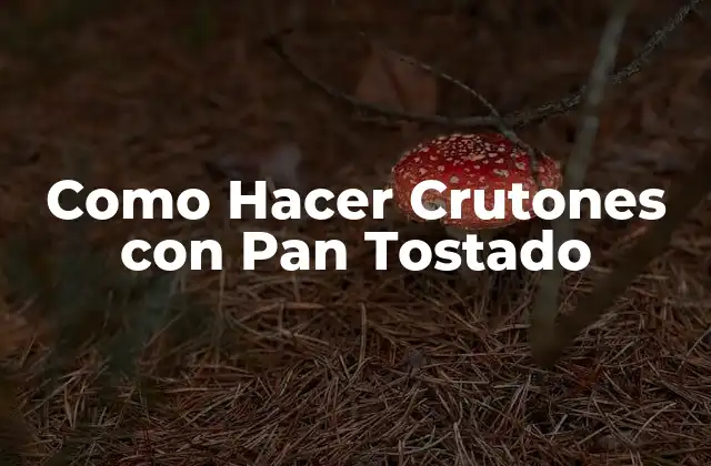 Como Hacer Crutones con Pan Tostado