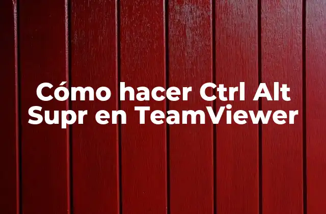 Cómo Hacer Ctrl Alt Supr en Teamviewer