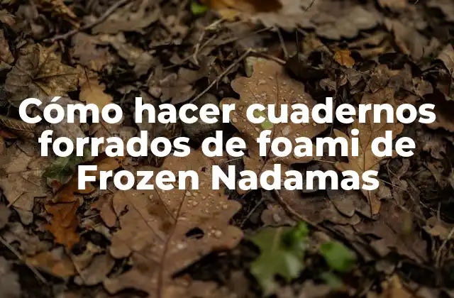 Cómo Hacer Cuadernos Forrados de Foami de Frozen Nadamas
