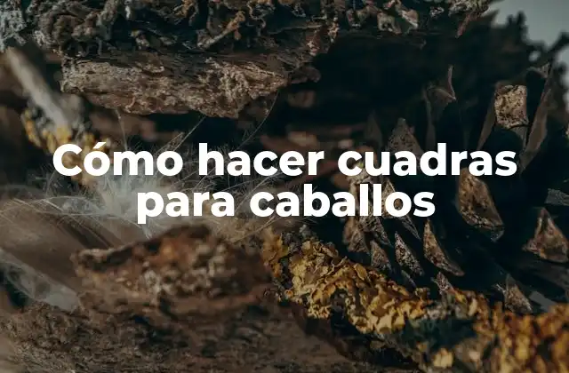 Cómo Hacer Cuadras para Caballos 2 Cómo hacer cuadras para caballos