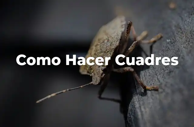 Como Hacer Cuadres 2 ¿Qué son los Cuadres?