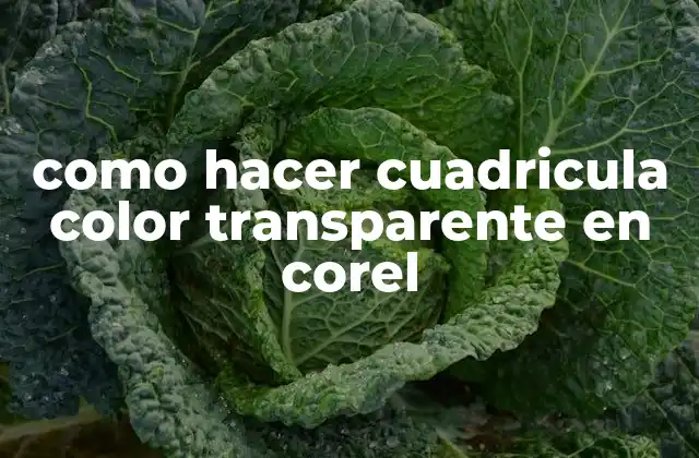 Como Hacer Cuadricula Color Transparente en Corel