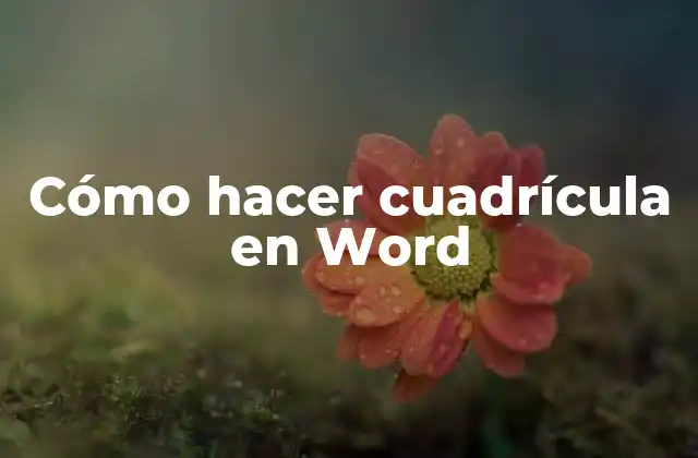 Cómo Hacer Cuadrícula en Word