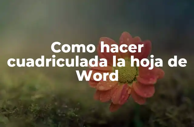 Como Hacer Cuadriculada la Hoja de Word