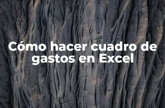 Cómo Hacer Cuadro de Gastos en Excel