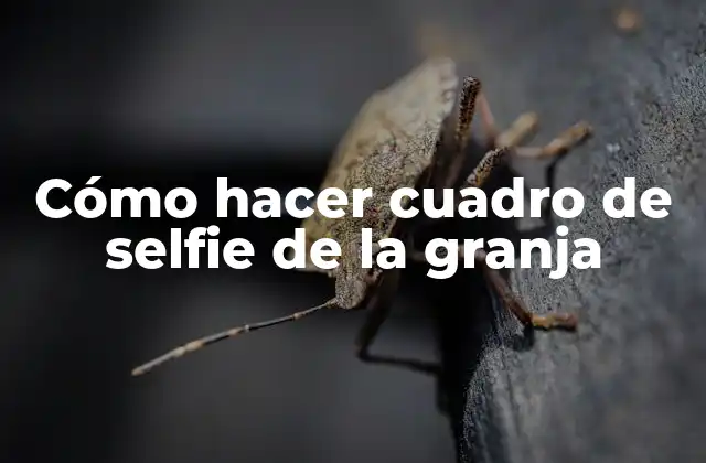 Cómo Hacer Cuadro de Selfie de la Granja