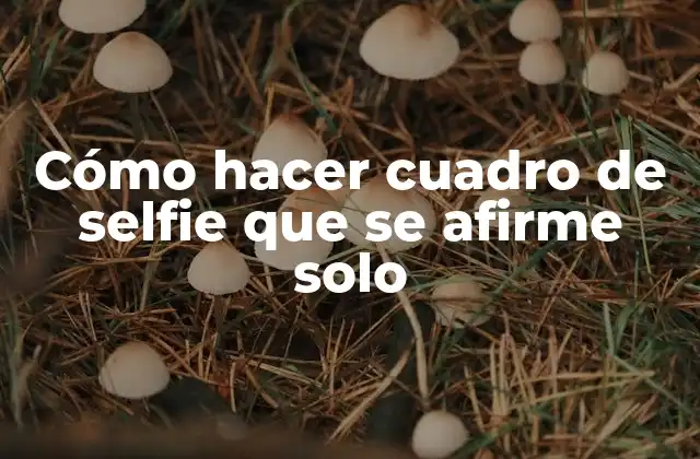 Cómo Hacer Cuadro de Selfie que Se Afirme Solo